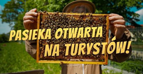 Jak działa Centrum Pszczoły Karpackiej w Nowosielcach? - zdjęcie