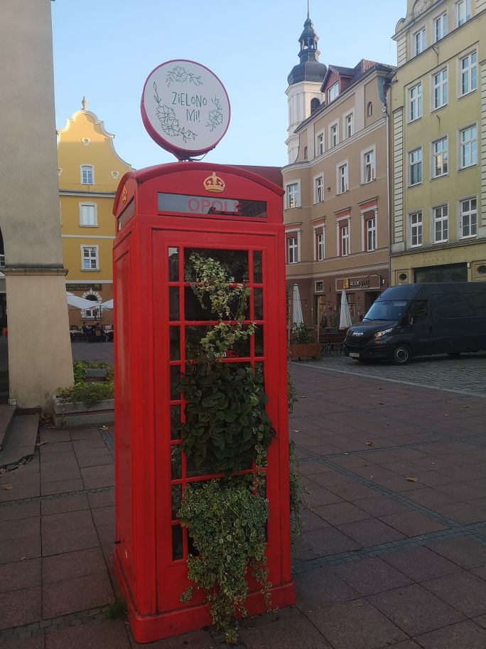 zdjęcie w galerii