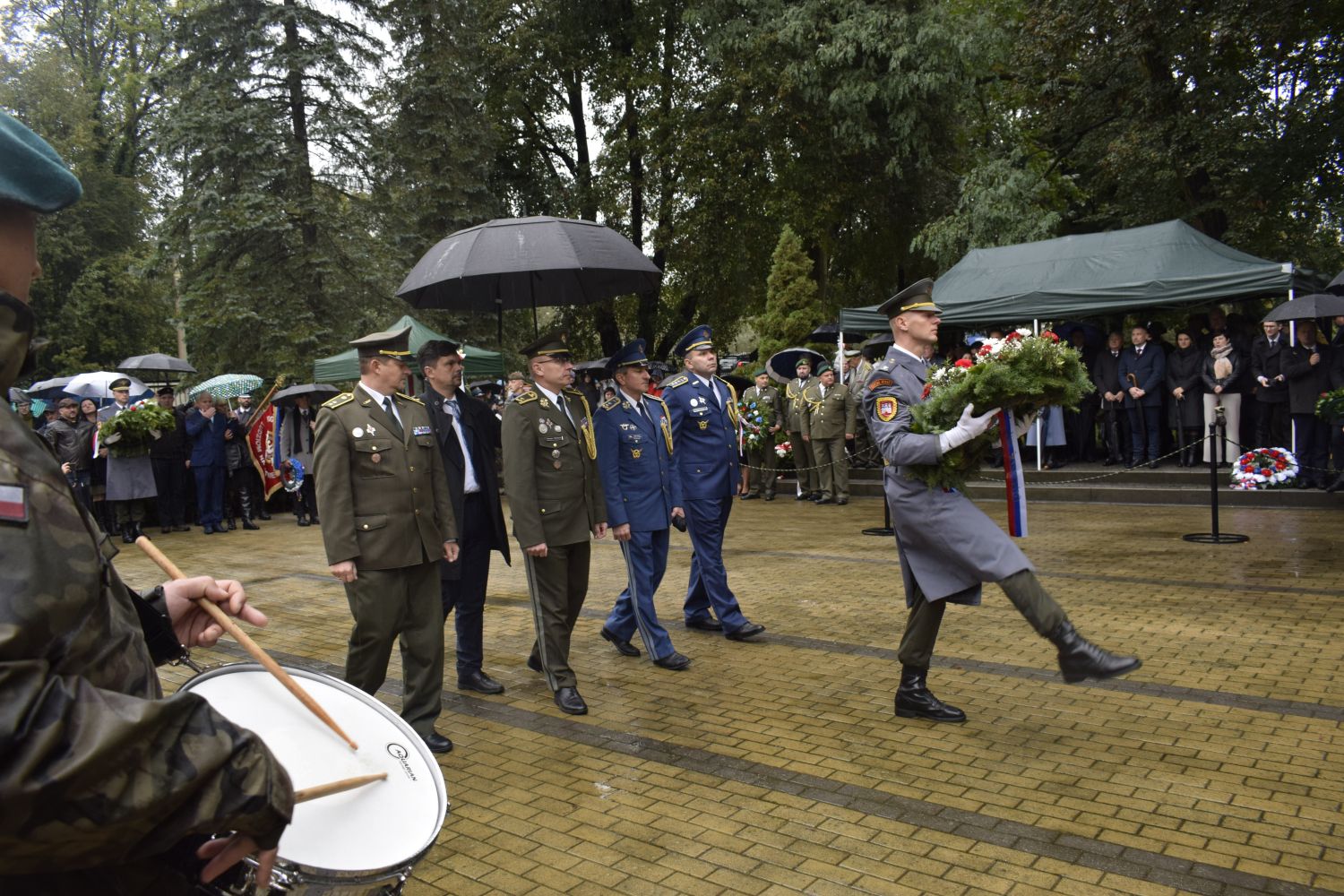 zdjęcie w galerii