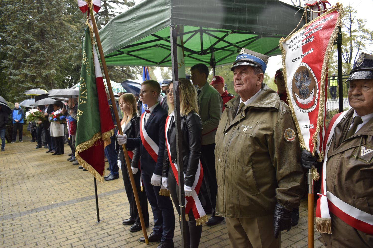 zdjęcie w galerii