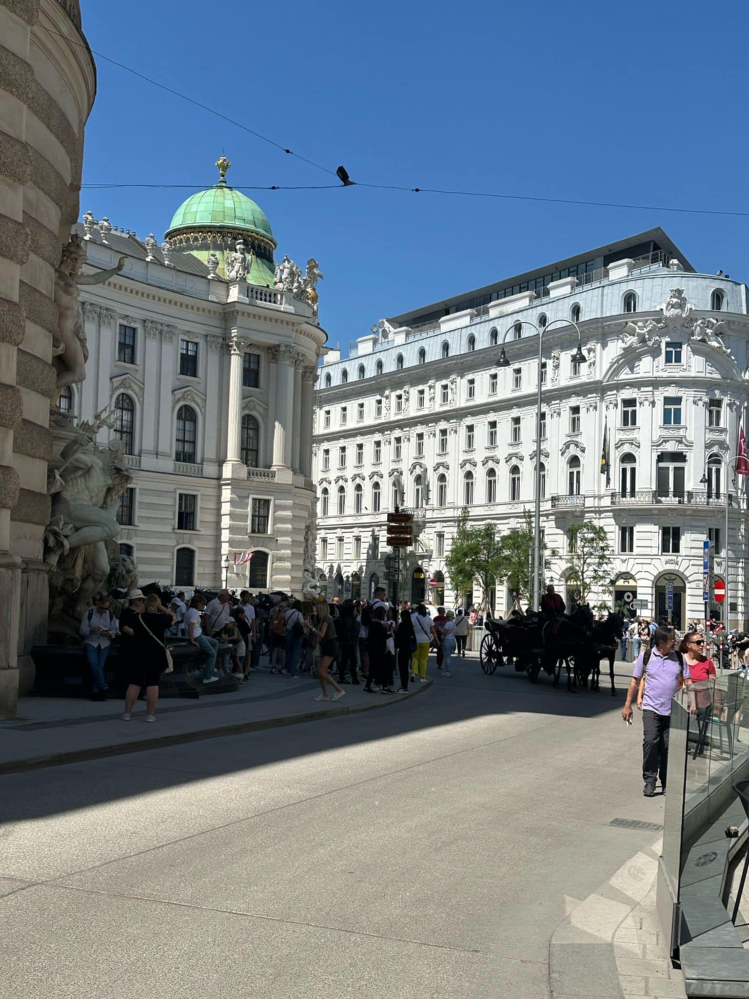zdjęcie w galerii