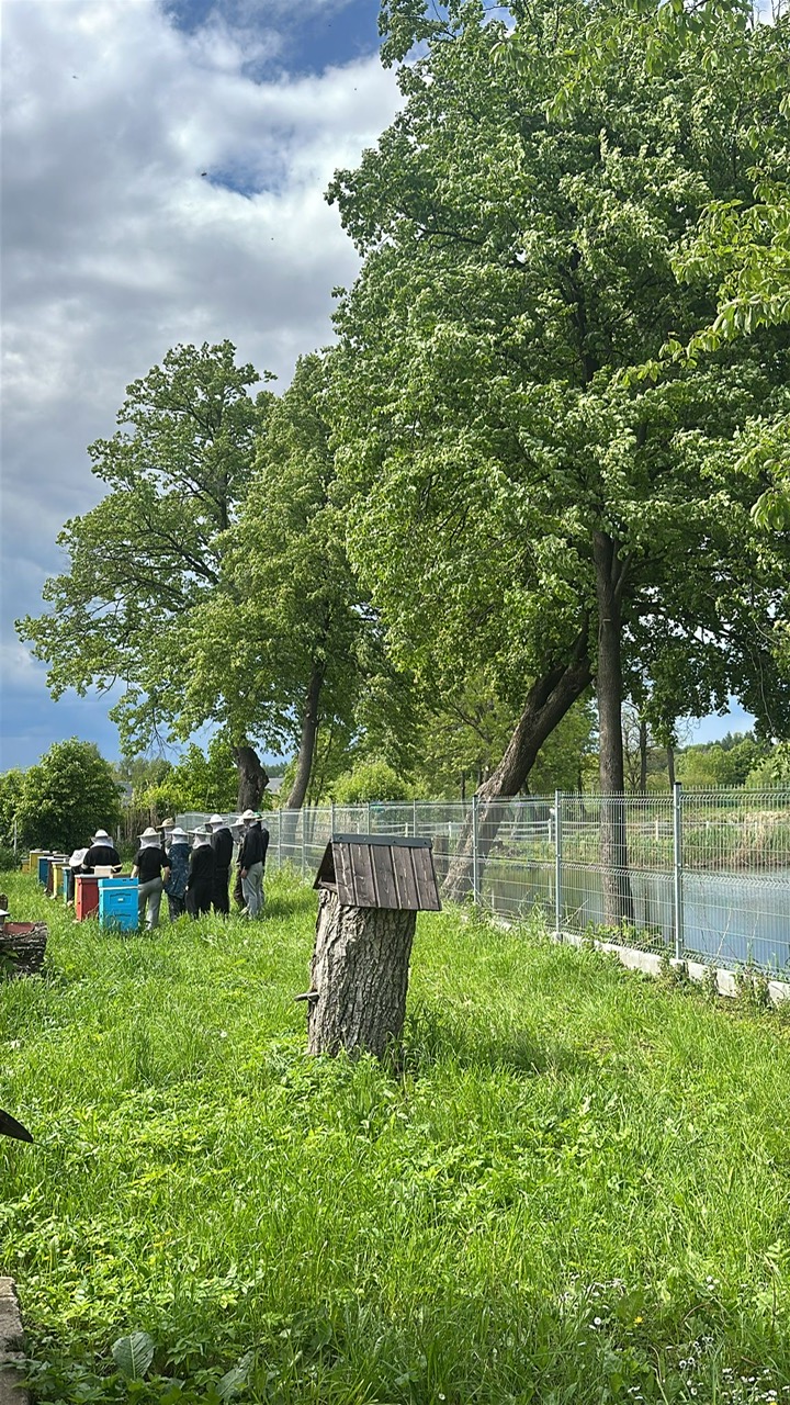 zdjęcie w galerii