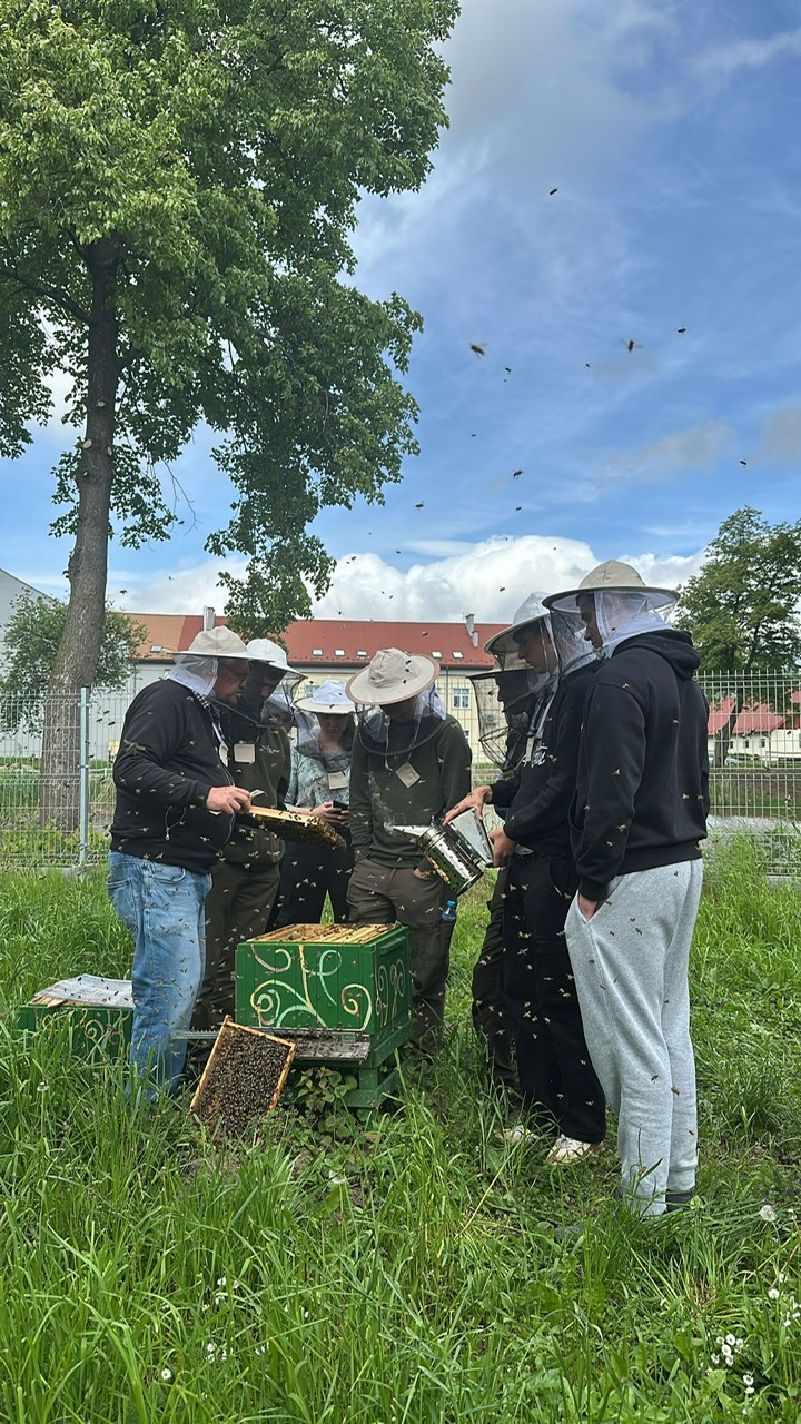 zdjęcie w galerii