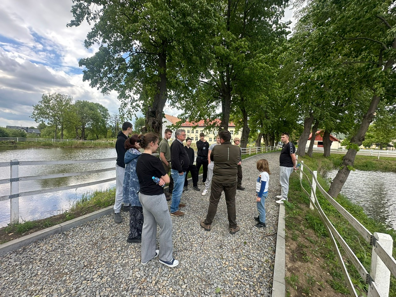 zdjęcie w galerii