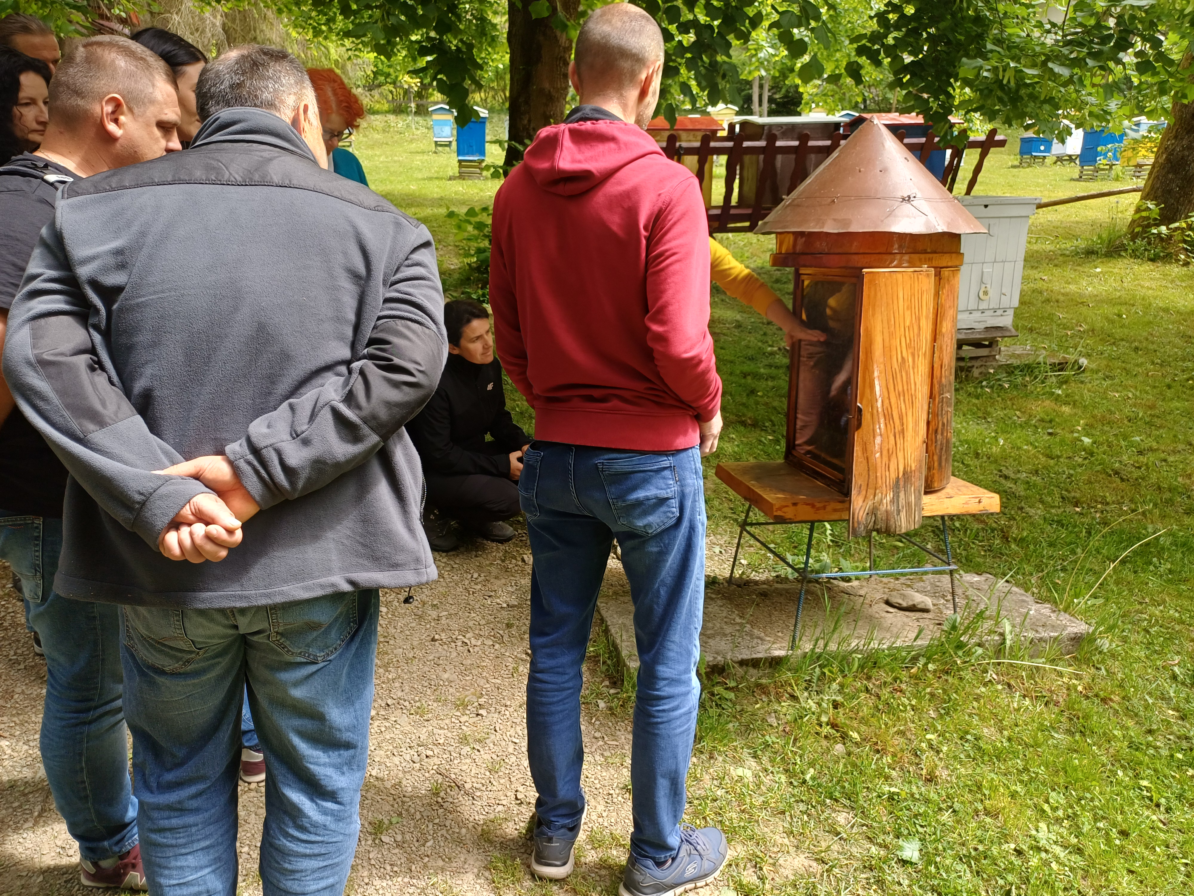 zdjęcie w galerii