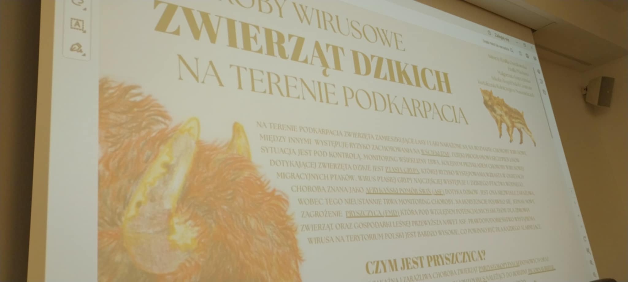 zdjęcie w galerii