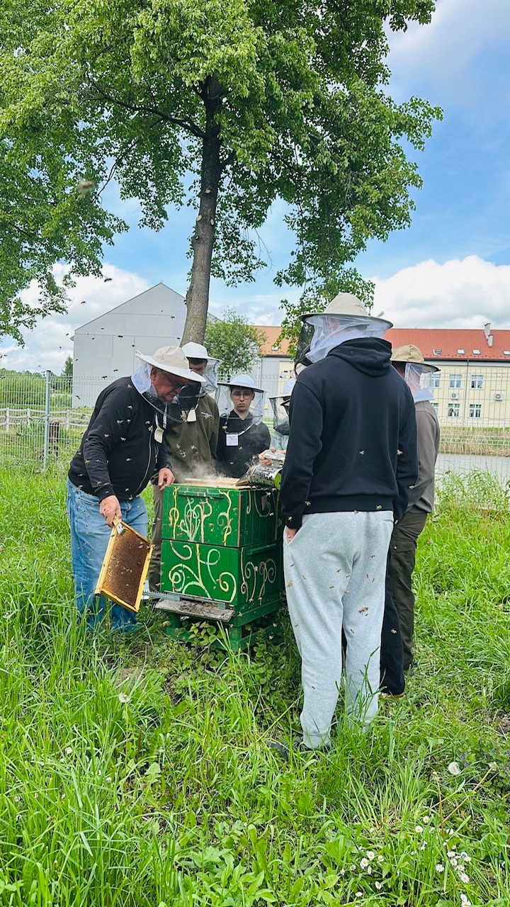 zdjęcie w galerii