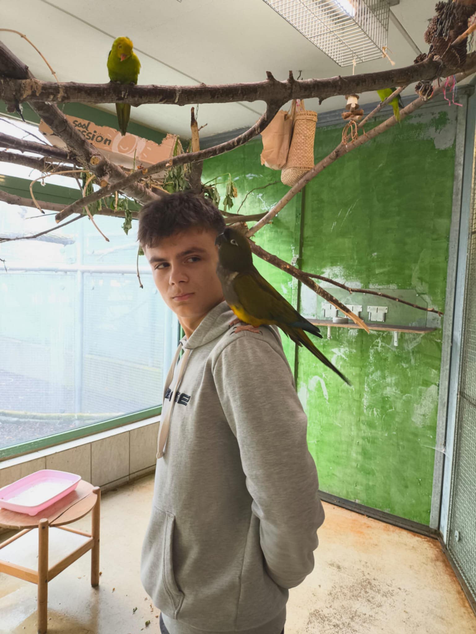 zdjęcie w galerii