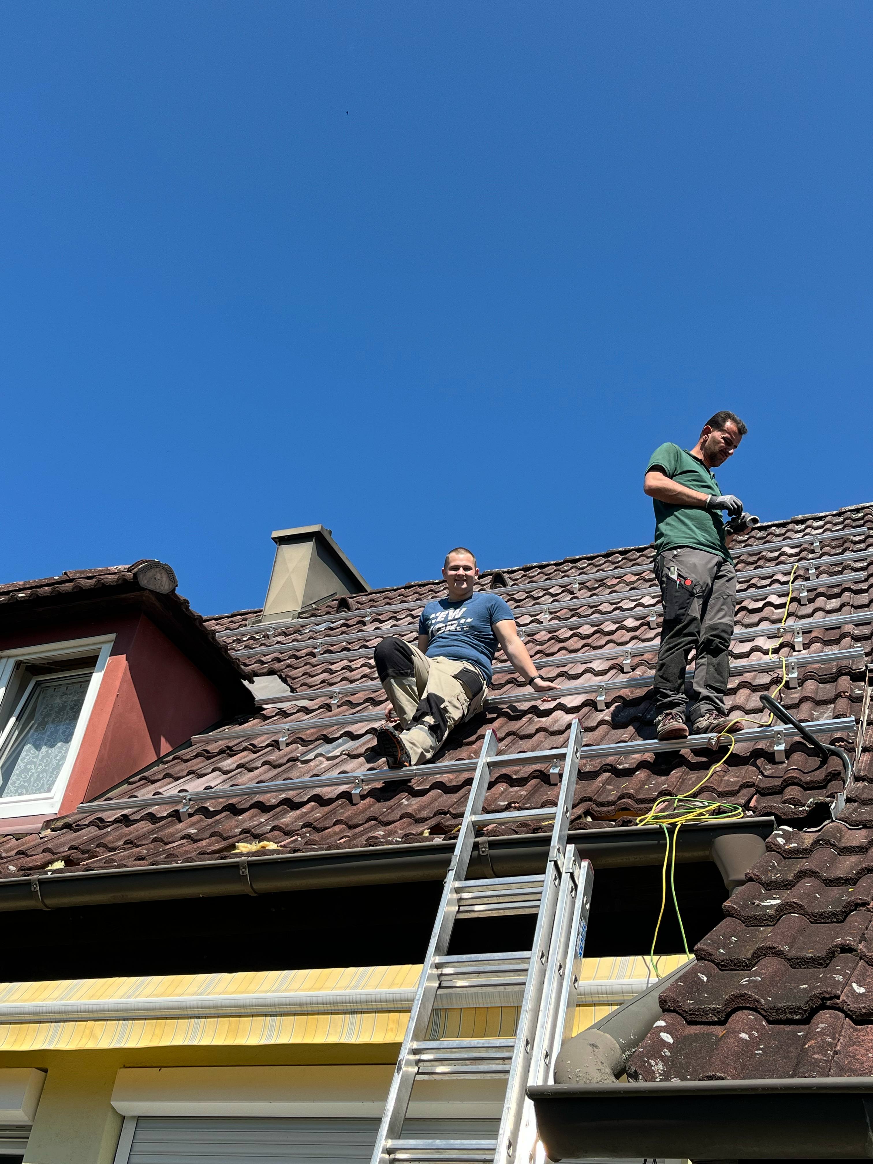zdjęcie w galerii