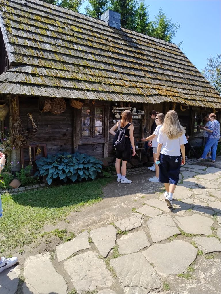 zdjęcie w galerii