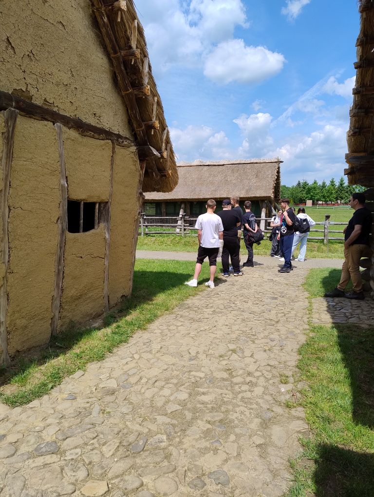 zdjęcie w galerii