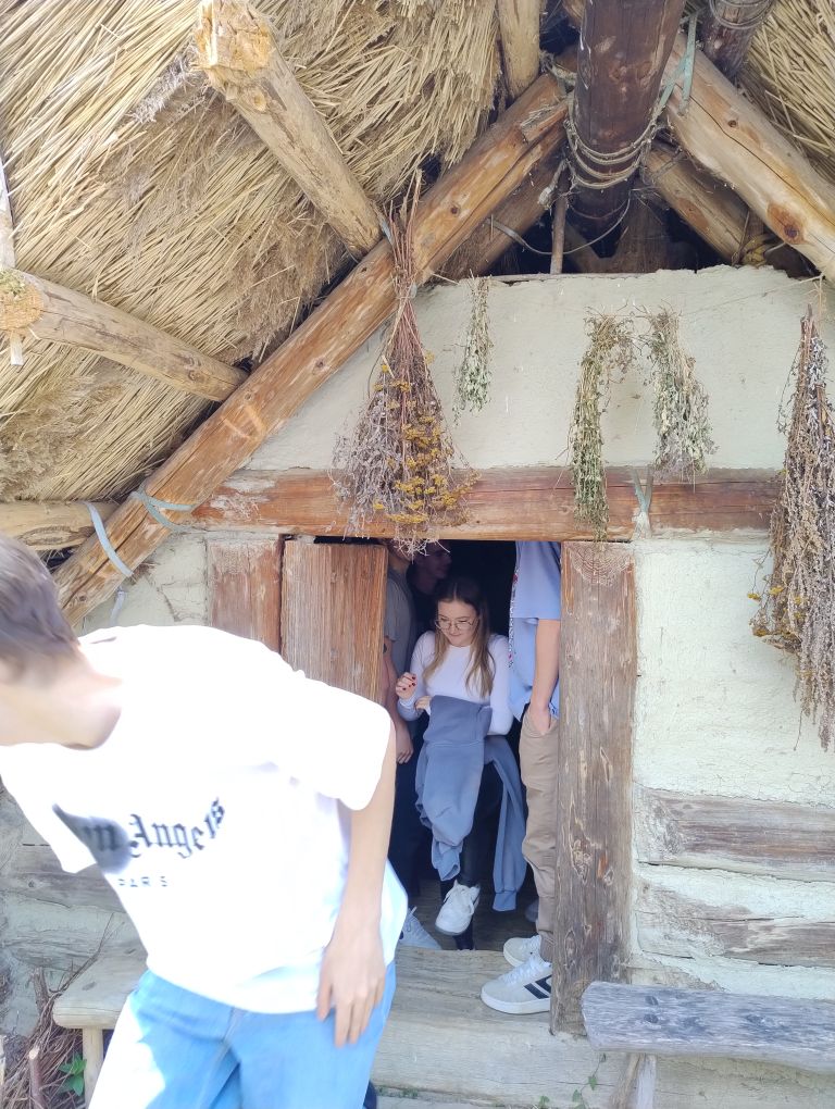 zdjęcie w galerii
