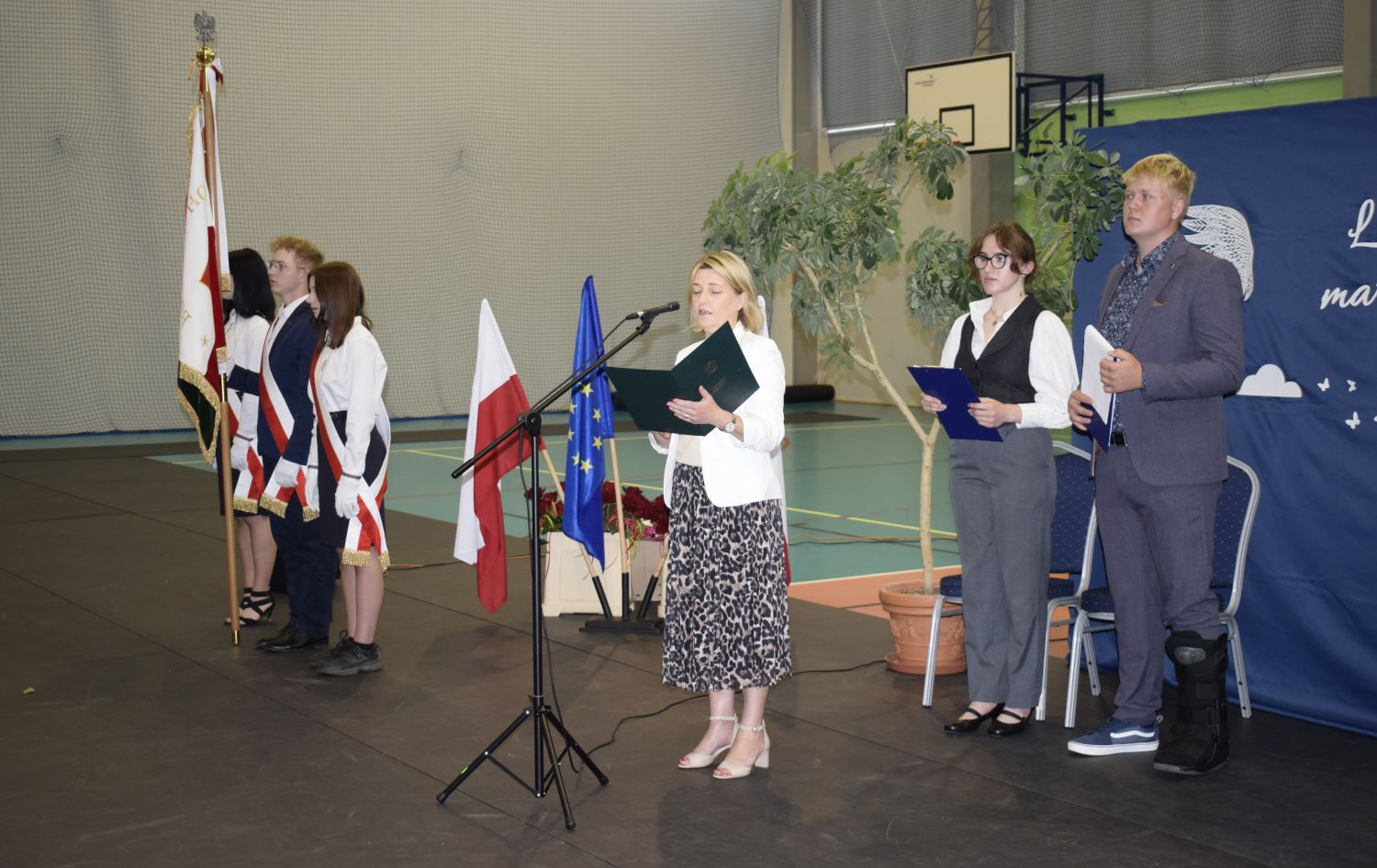 zdjęcie w galerii