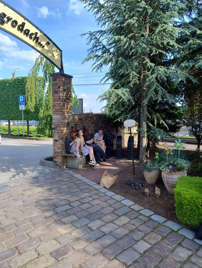 zdjęcie w galerii