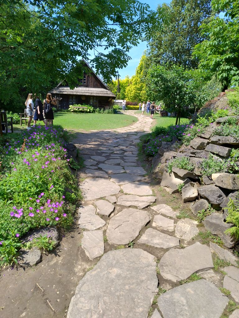 zdjęcie w galerii