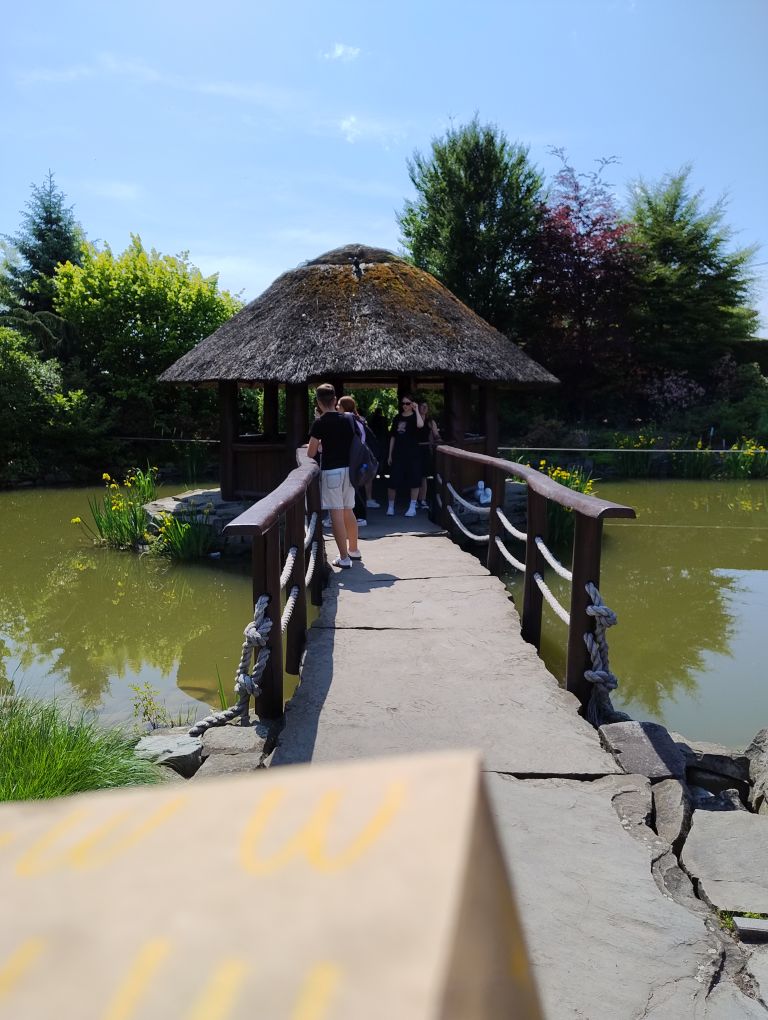 zdjęcie w galerii