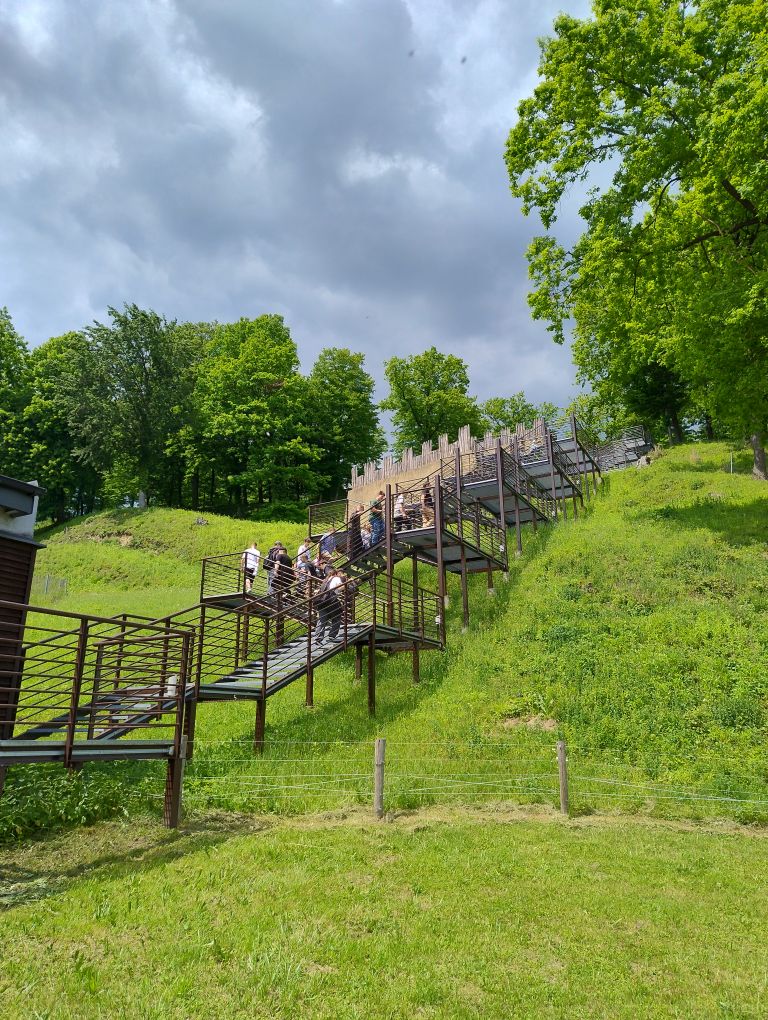 zdjęcie w galerii