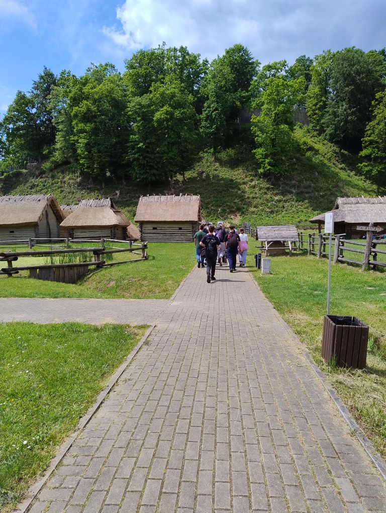 zdjęcie w galerii
