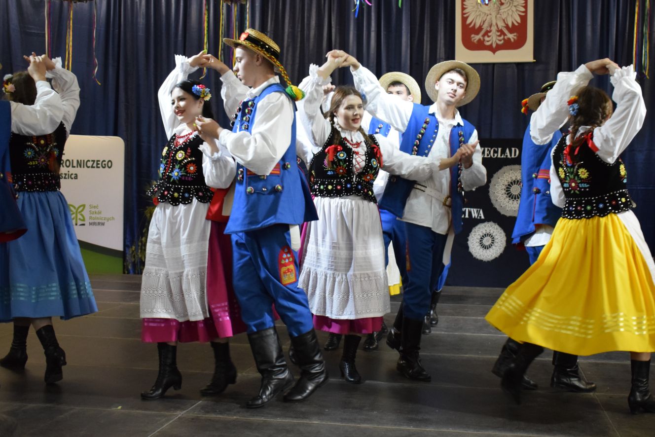 zdjęcie w galerii