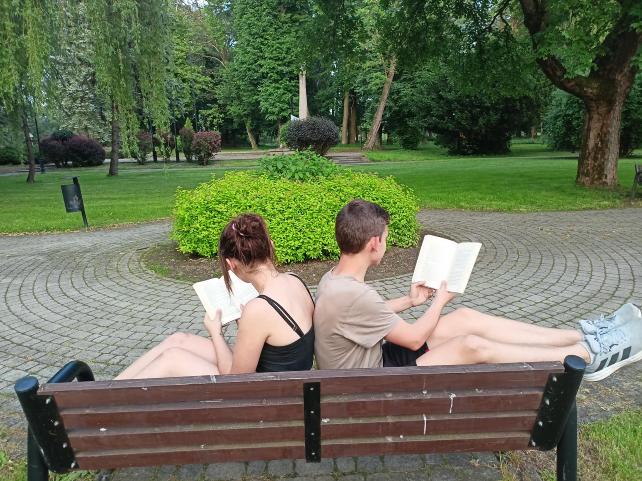 zdjęcie w galerii