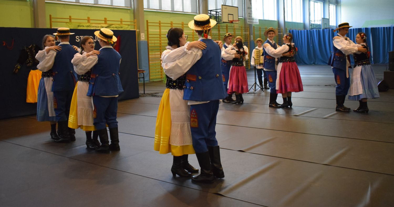 zdjęcie w galerii