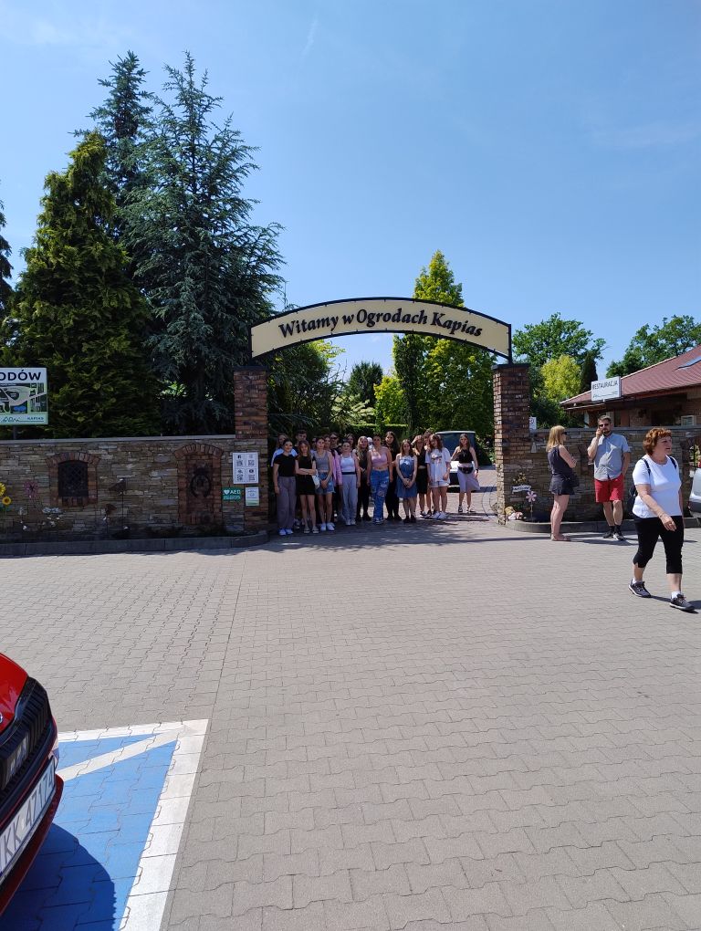 zdjęcie w galerii