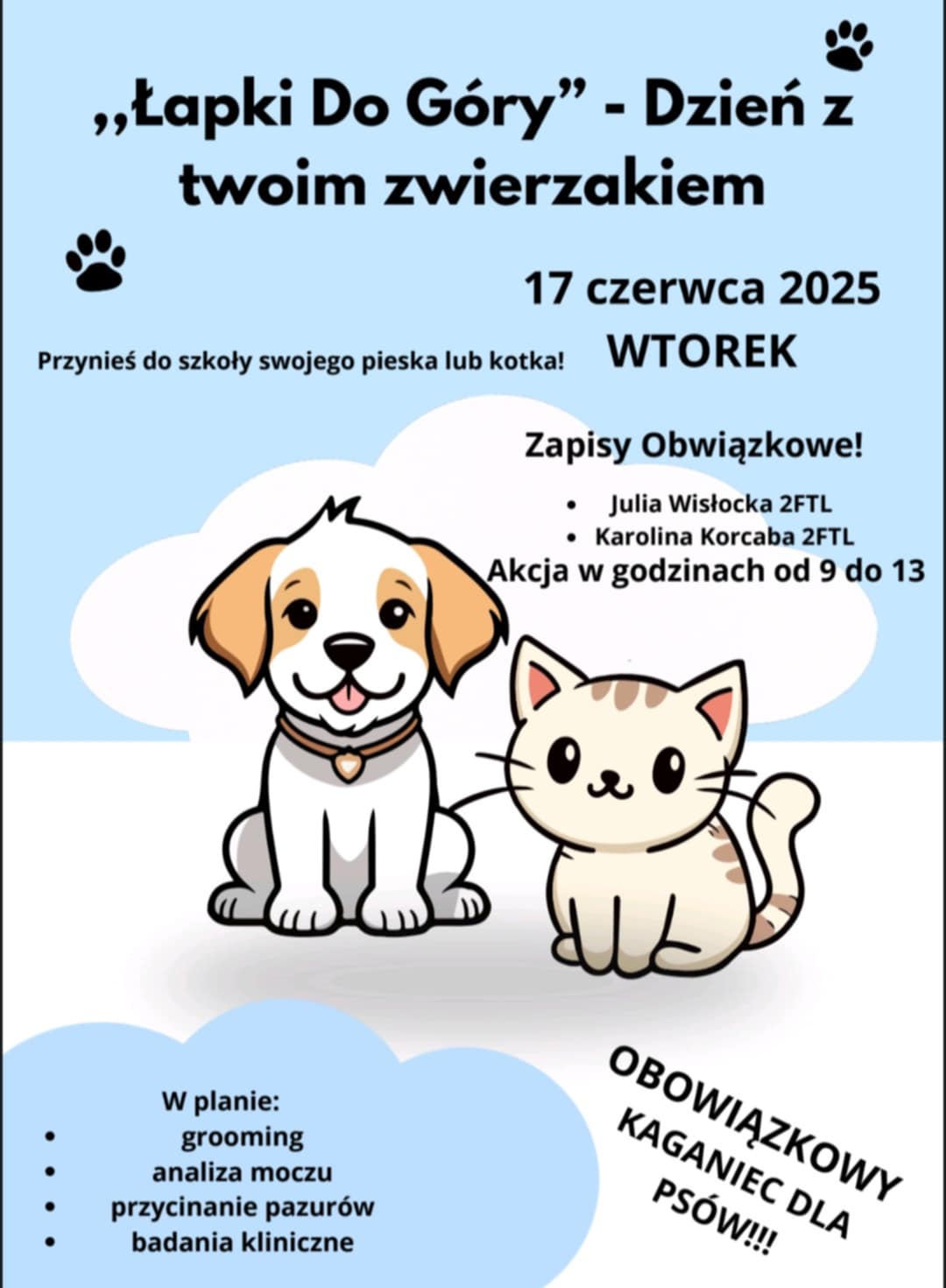 Łapki do góry - zdjęcie