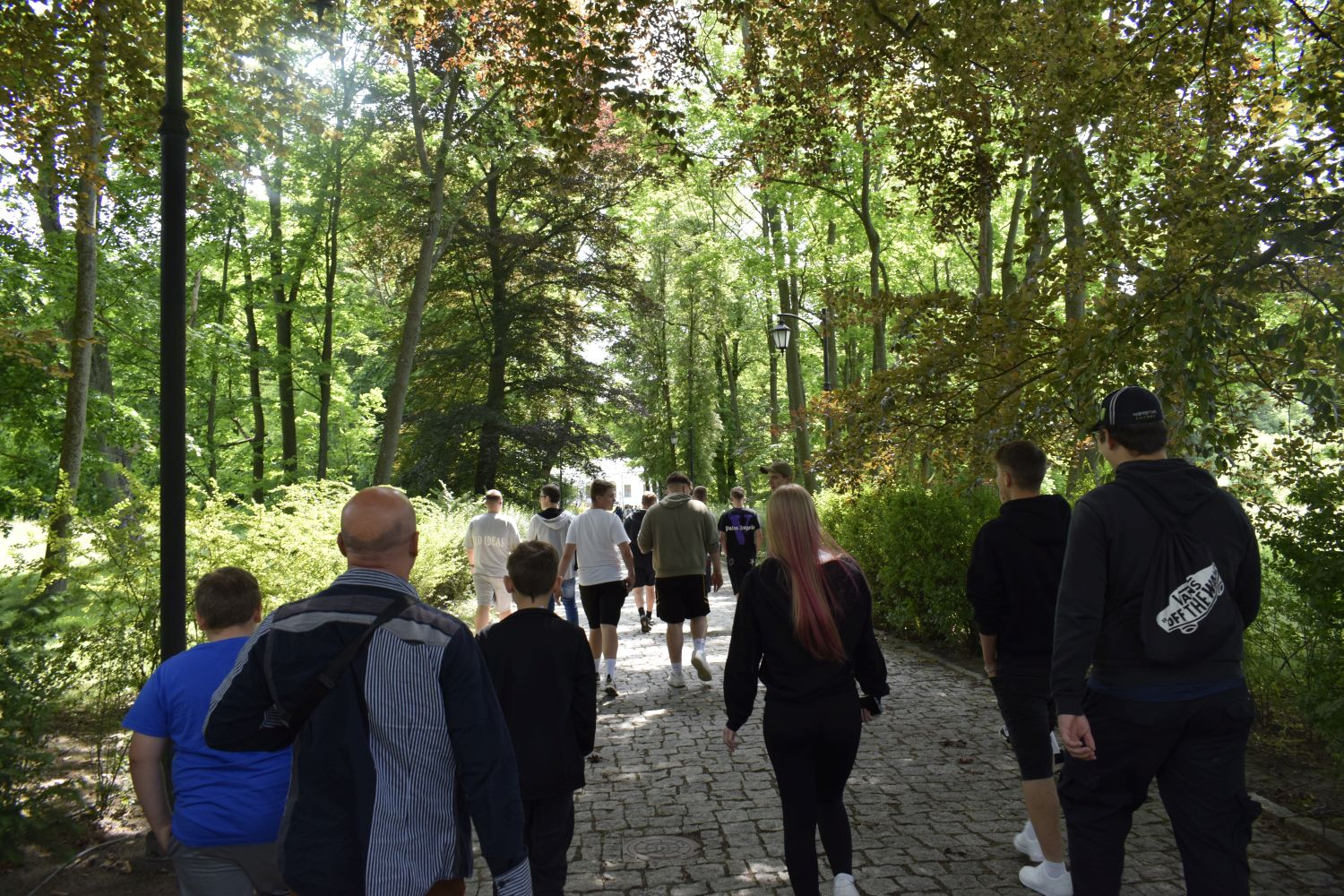 zdjęcie w galerii