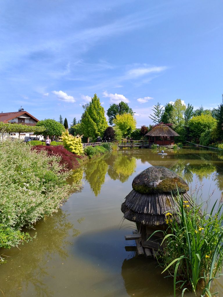 zdjęcie w galerii