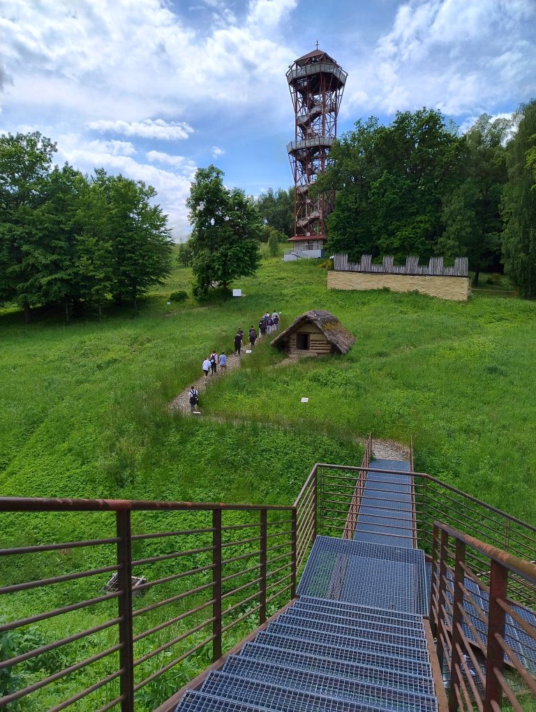zdjęcie w galerii