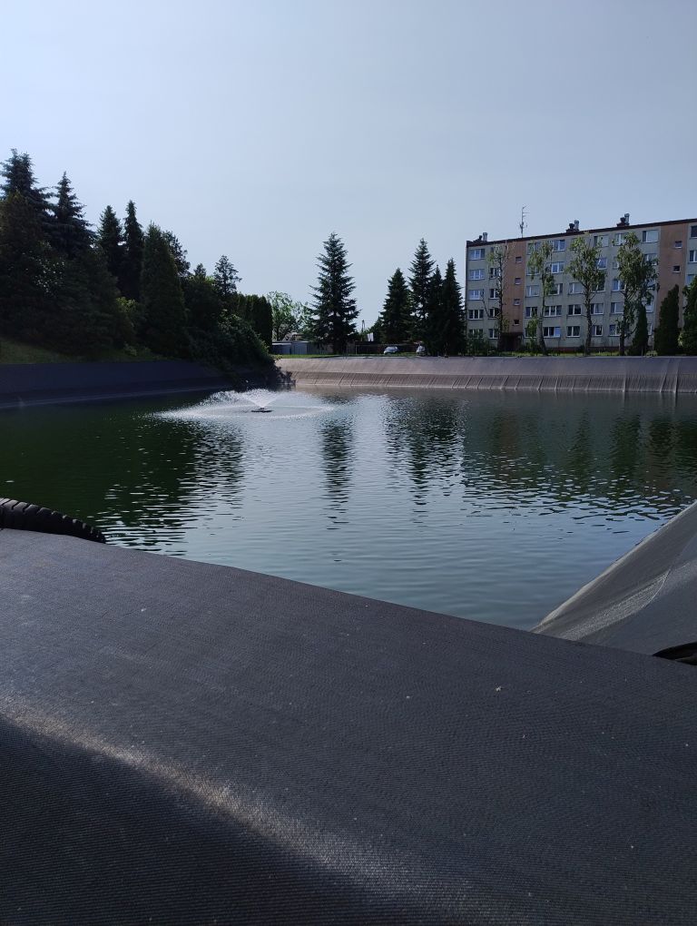 zdjęcie w galerii