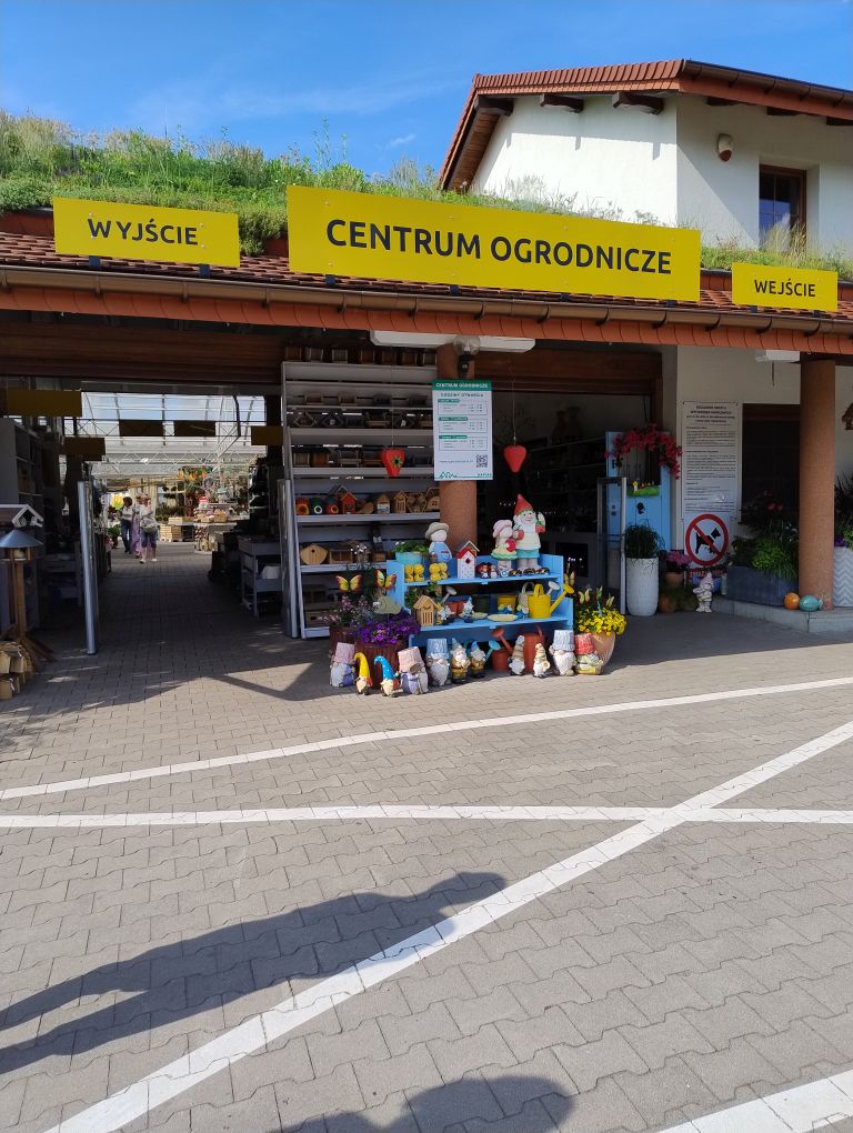 zdjęcie w galerii