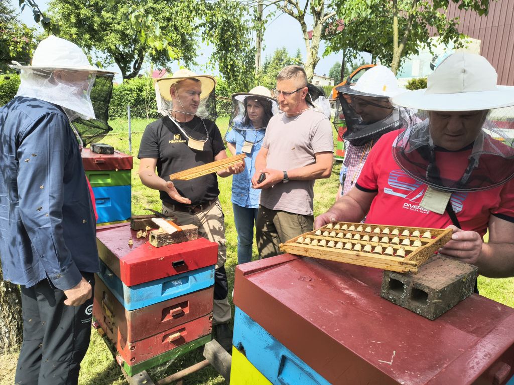KKZ wyjazd do firmy Miodoland - zdjęcie