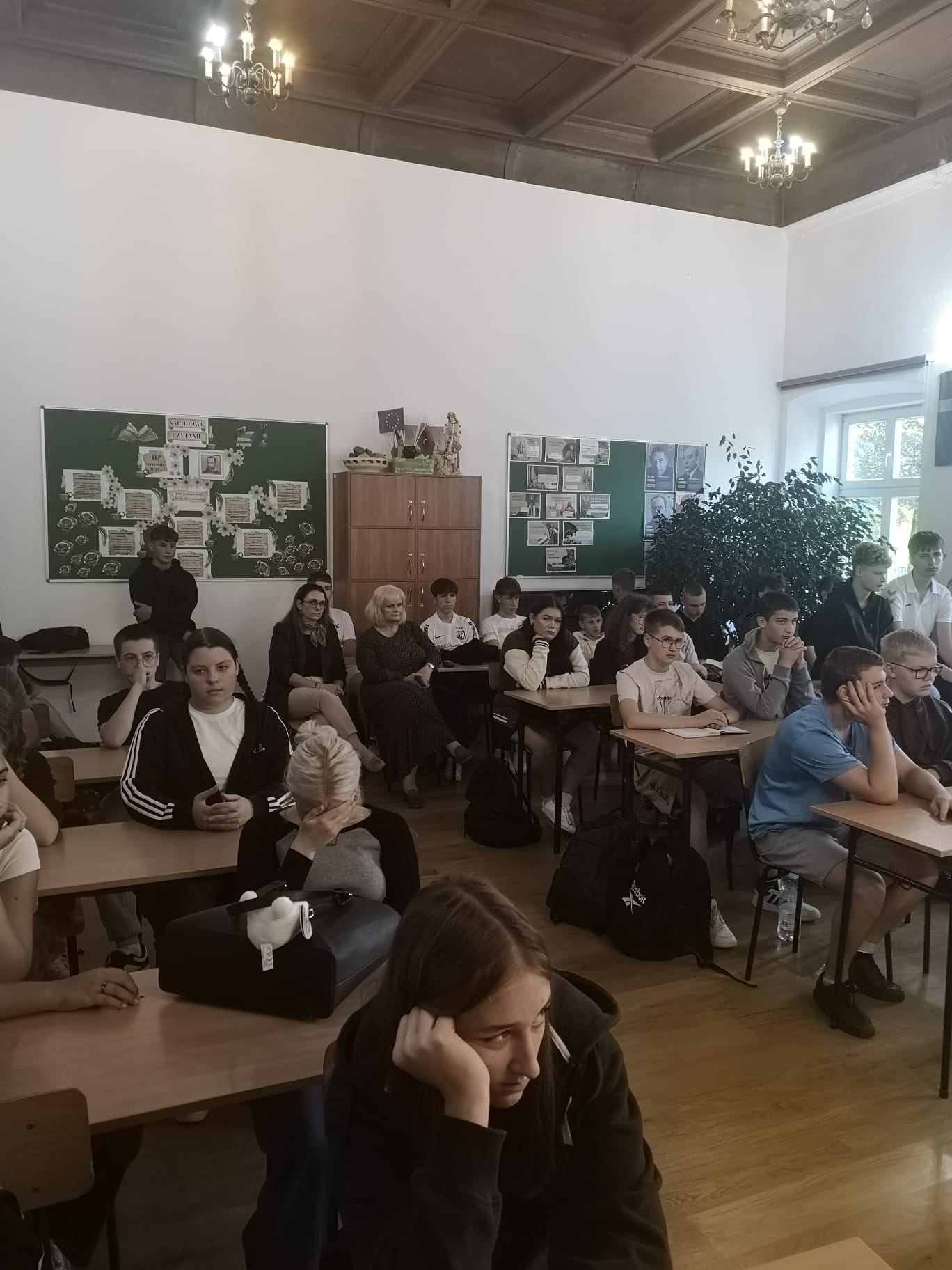 zdjęcie w galerii
