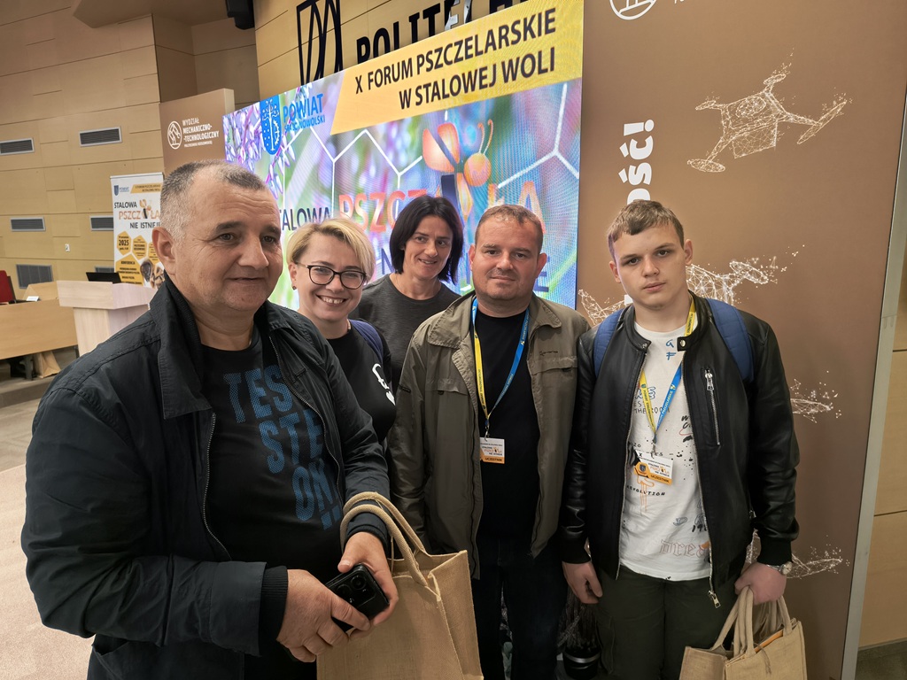 zdjęcie w galerii