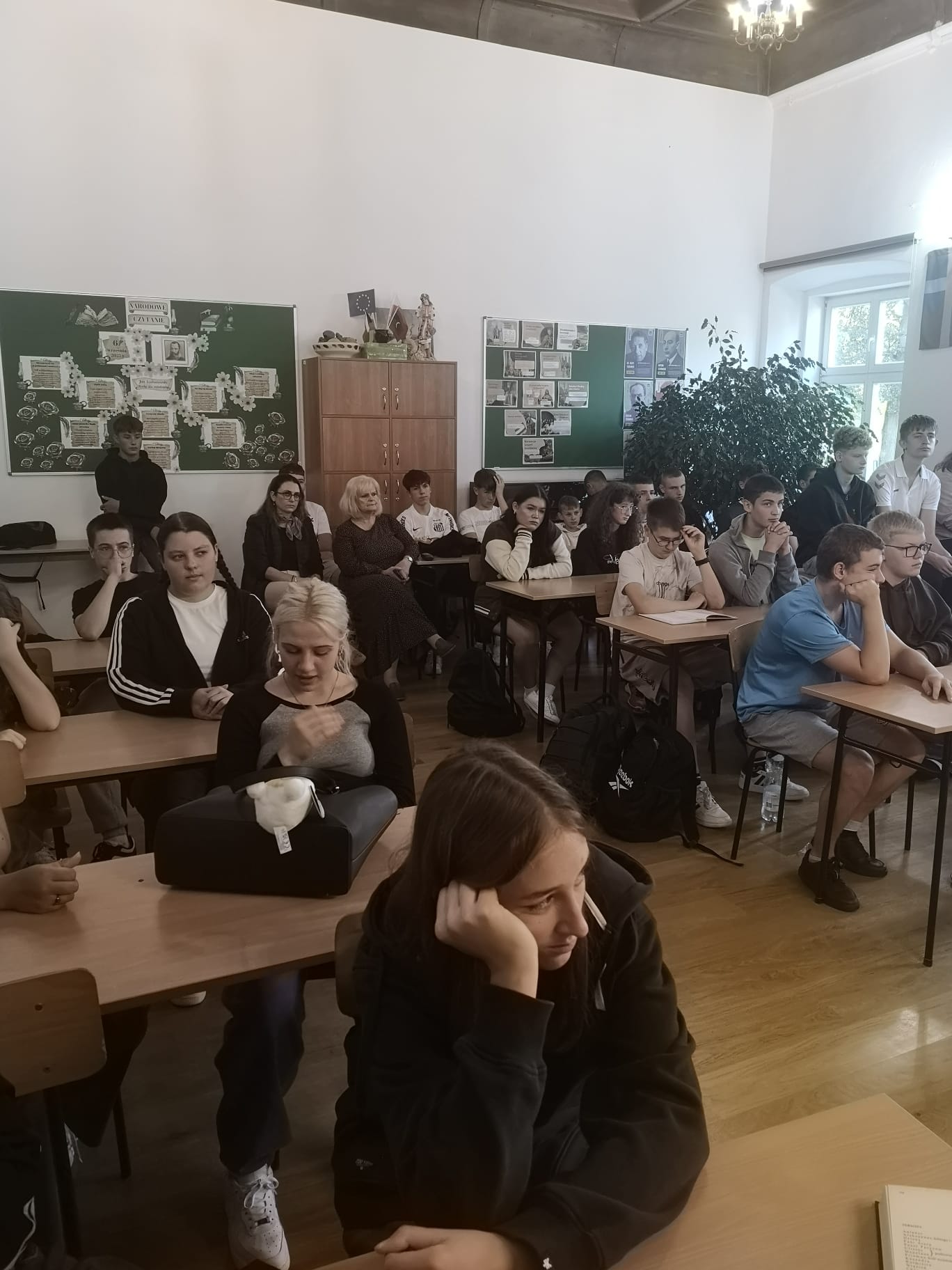 zdjęcie w galerii