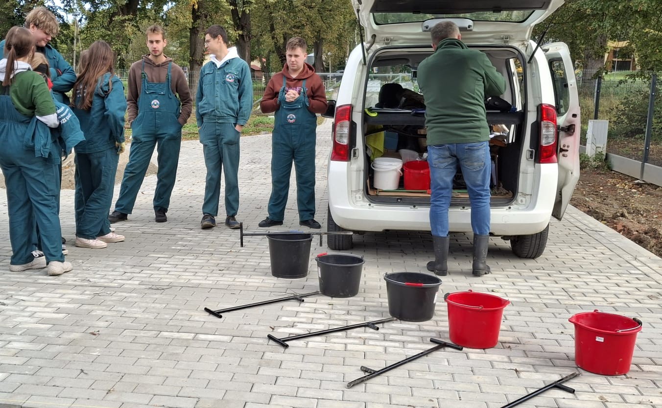 zdjęcie w galerii