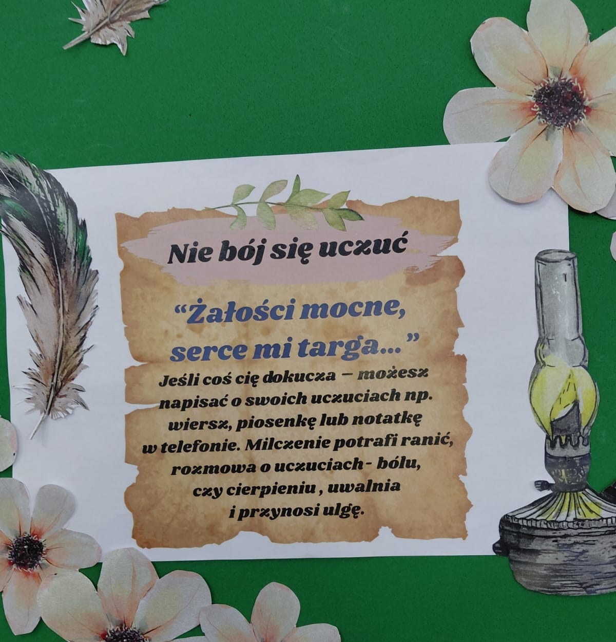 zdjęcie w galerii