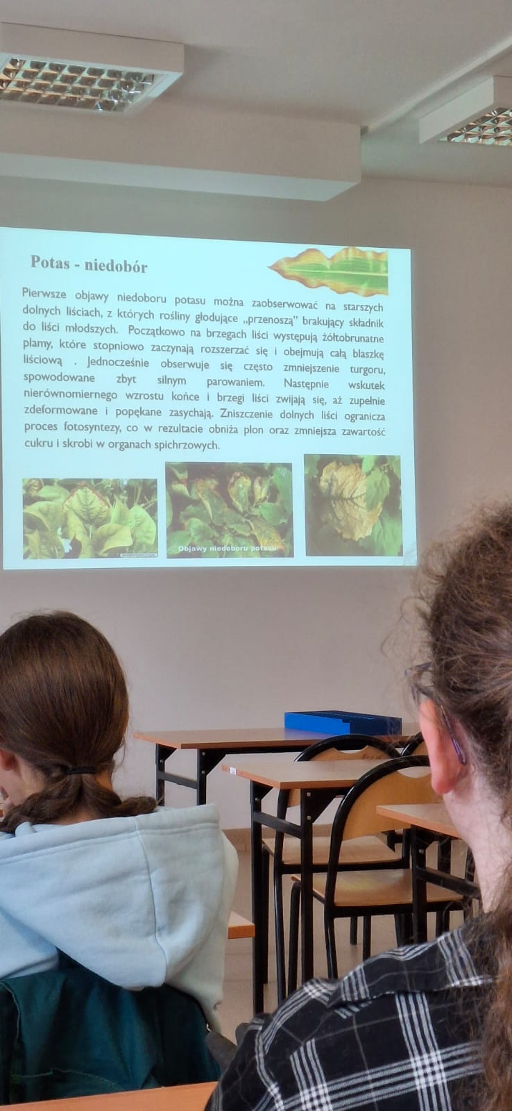 zdjęcie w galerii