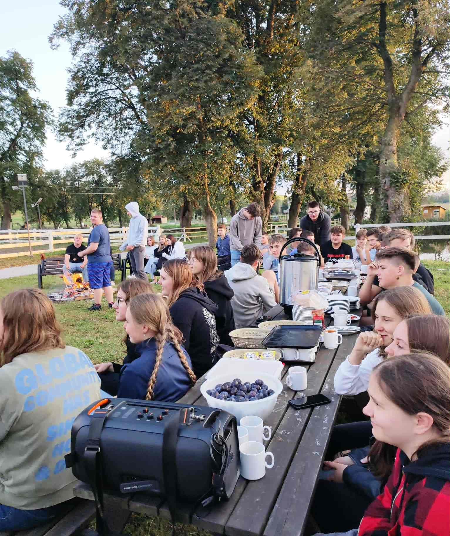 zdjęcie w galerii