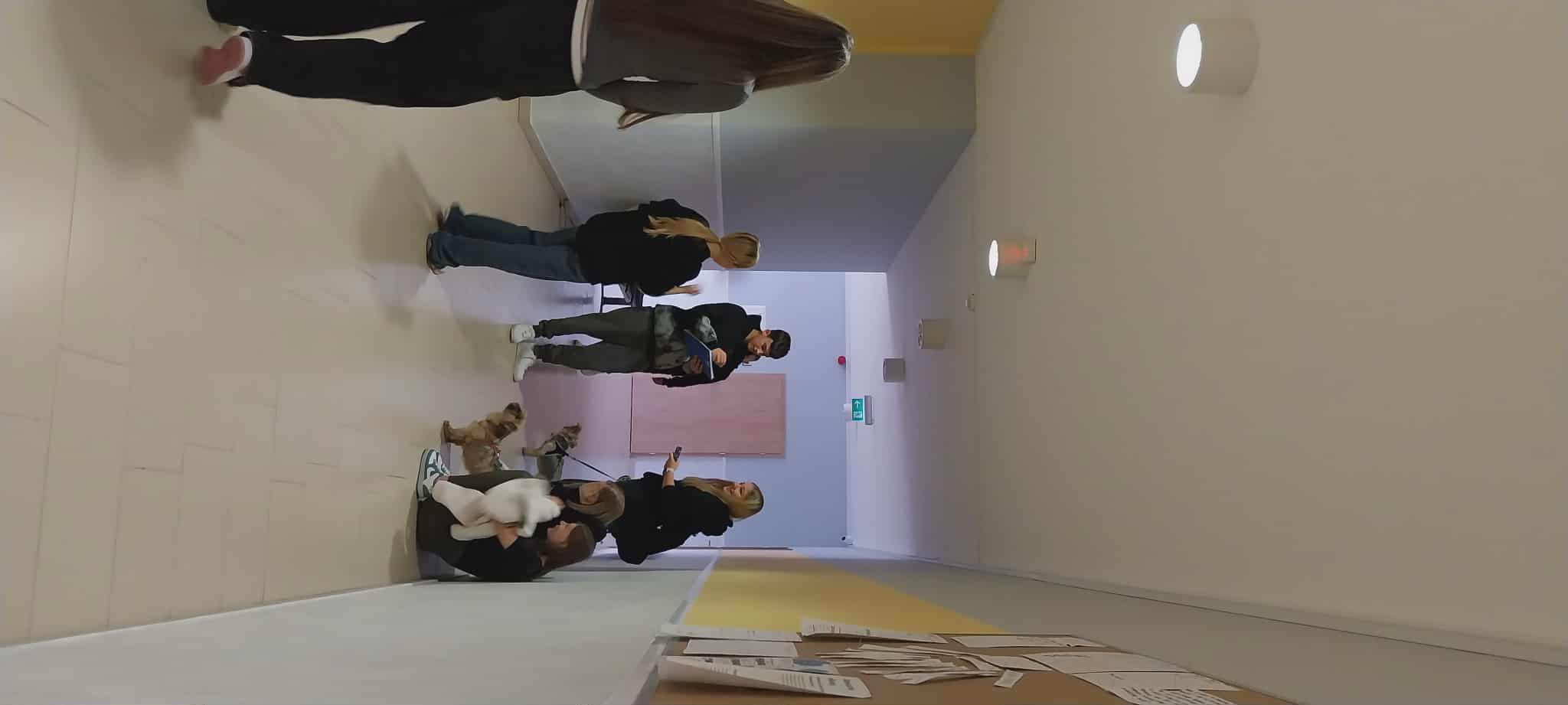 zdjęcie w galerii