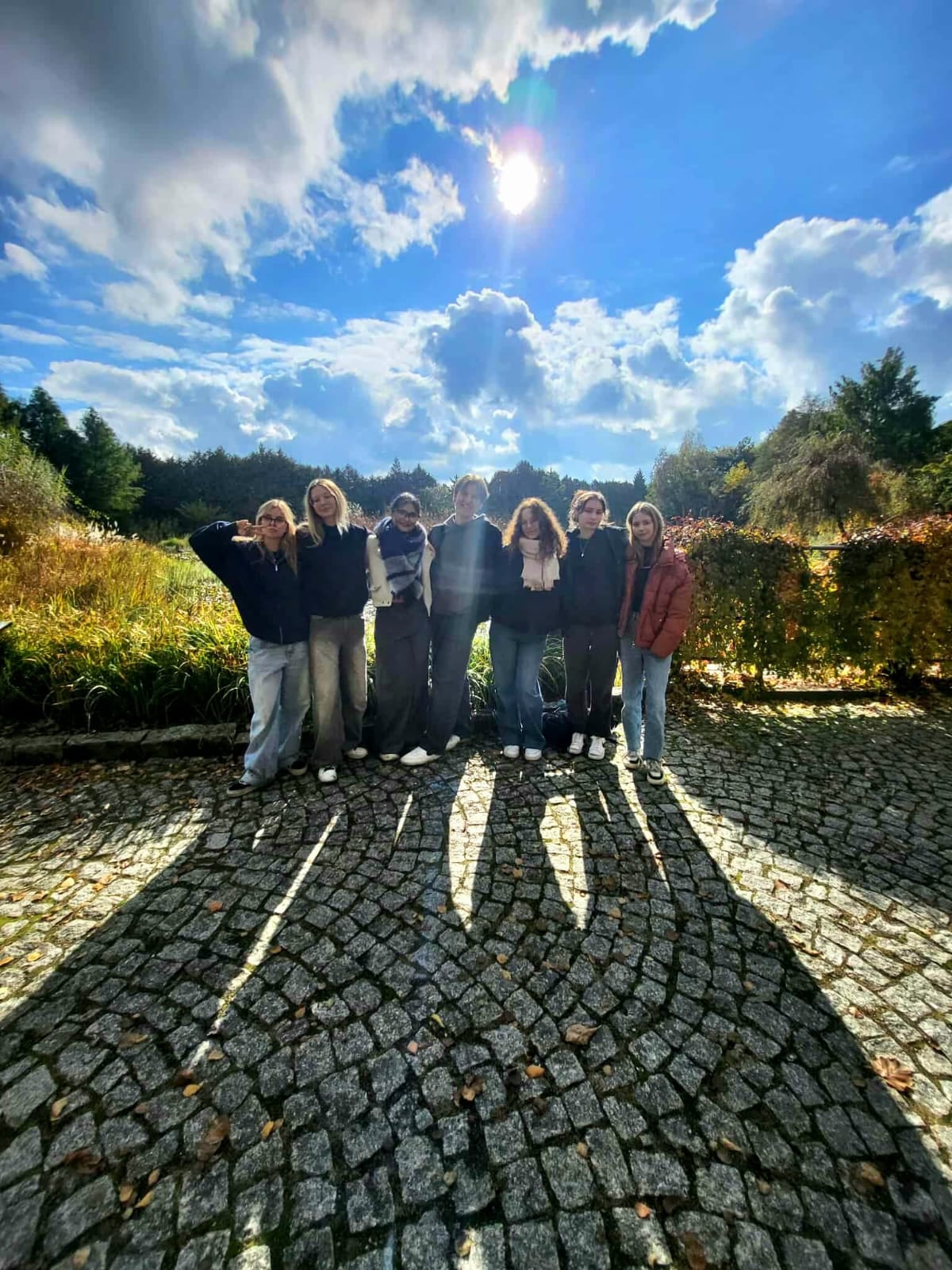 zdjęcie w galerii