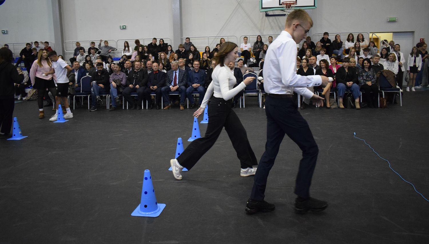 zdjęcie w galerii