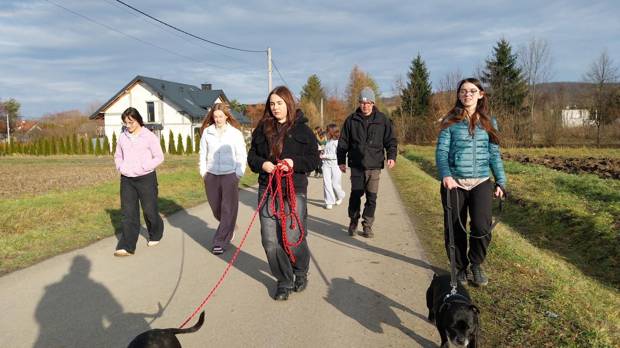Koło weterynaryjne rozpoczęło współprace z behawiorystą z Dog’s Town