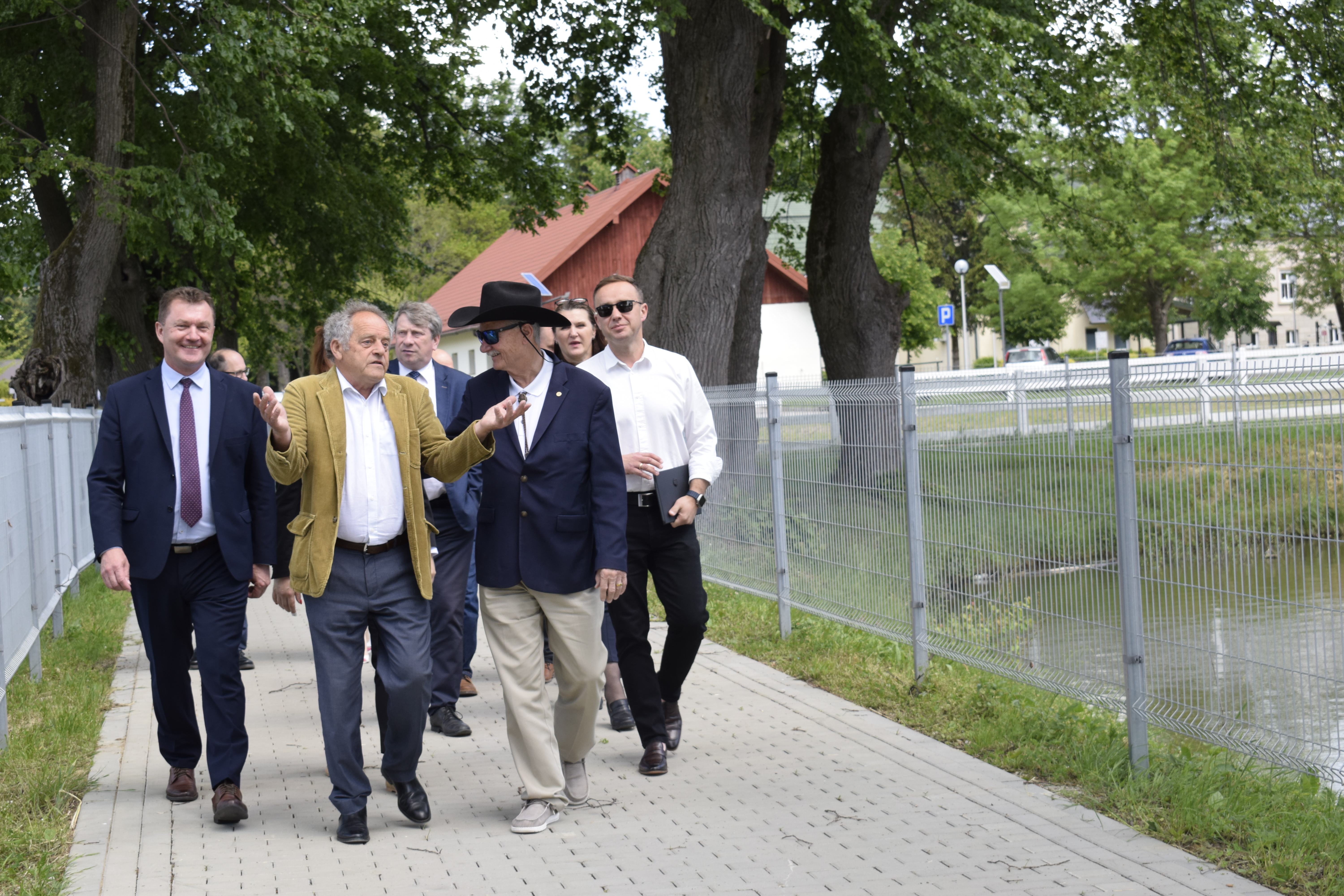 zdjęcie w galerii