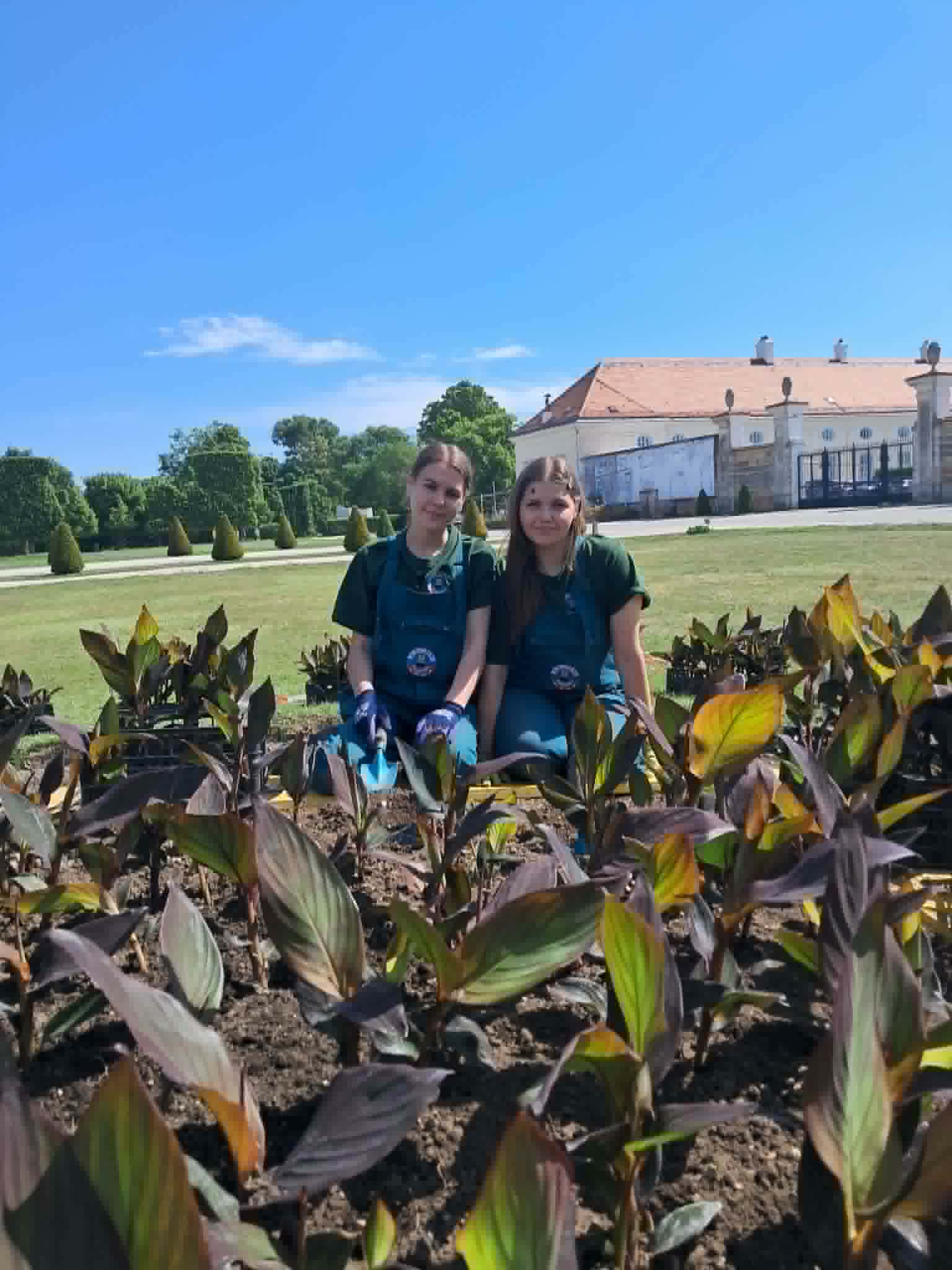 zdjęcie w galerii