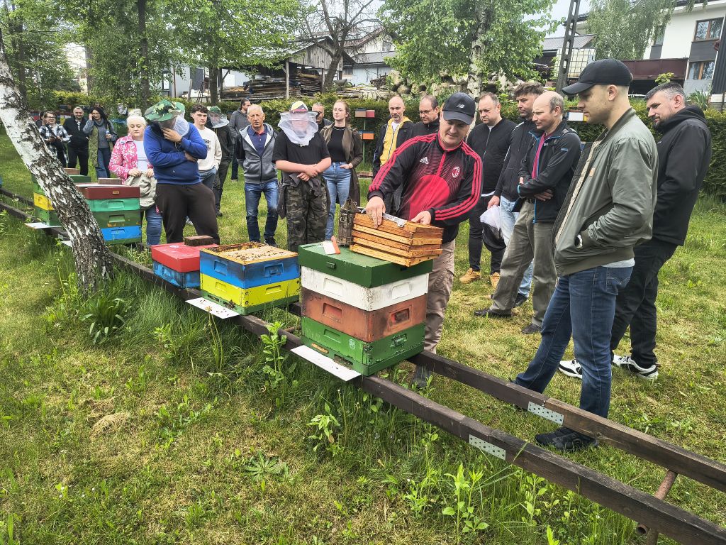 Wyjazdowe zajęcia z produkcji matek pszczelich w pasiece zarodowej Miodoland