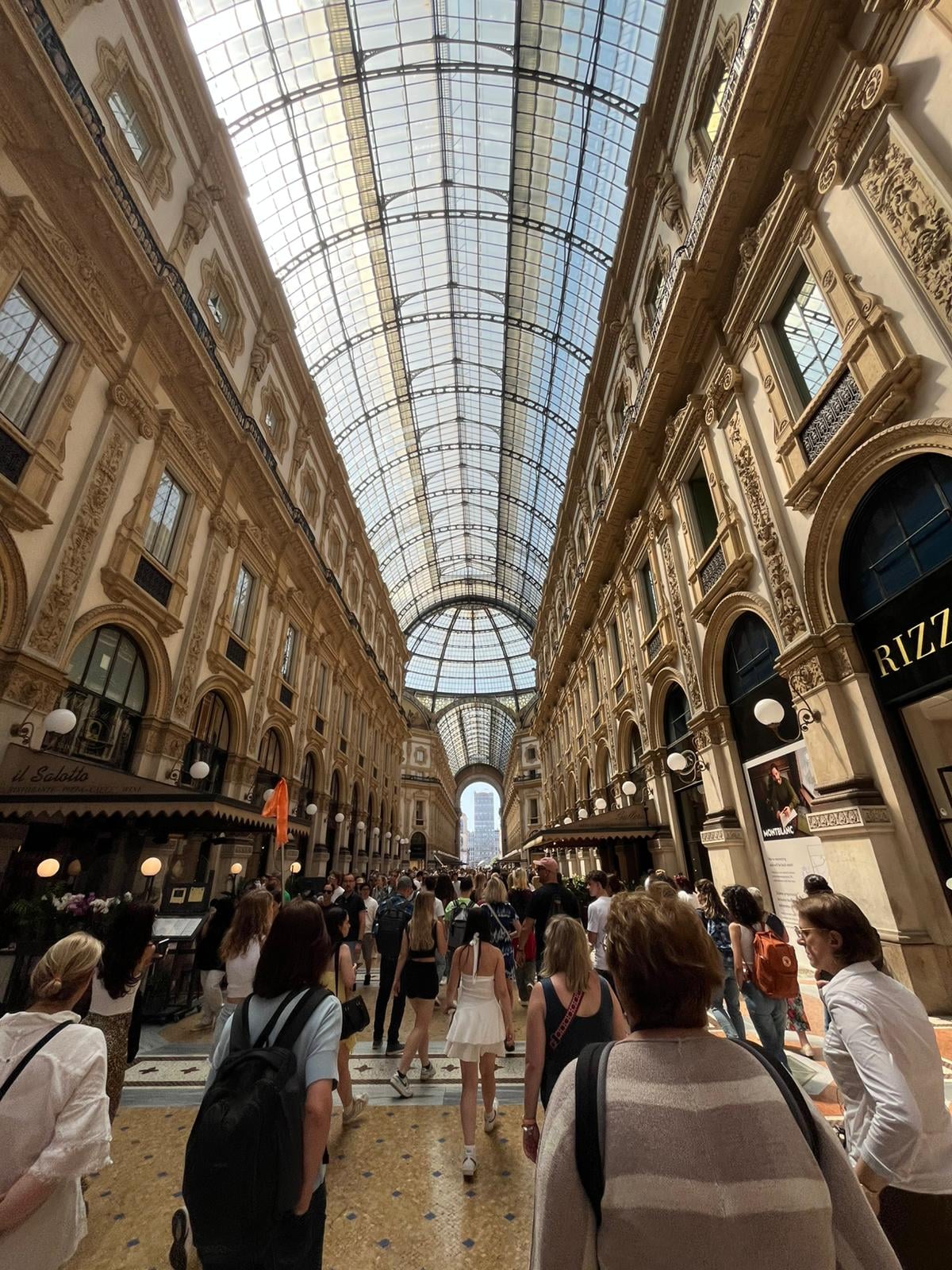 zdjęcie w galerii