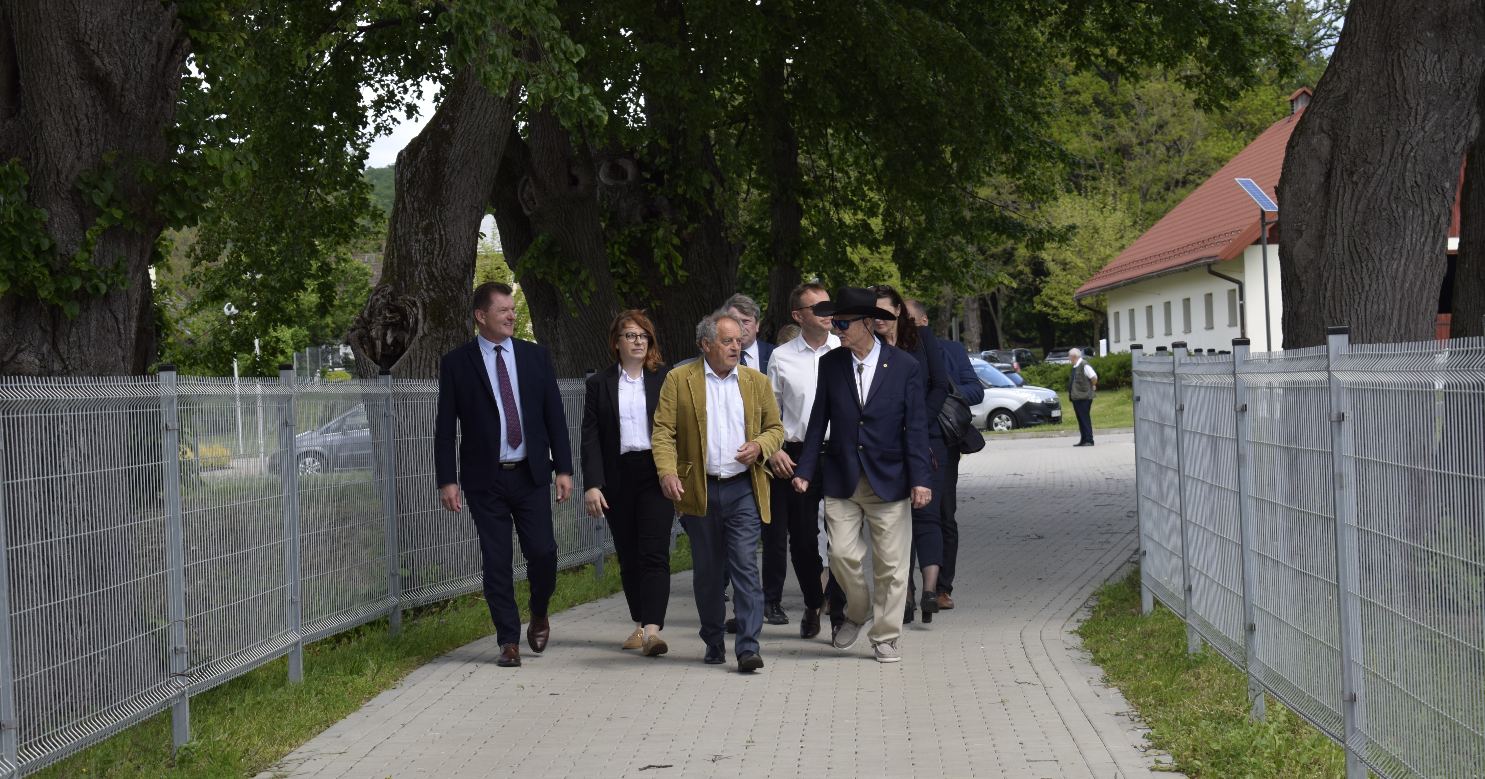zdjęcie w galerii