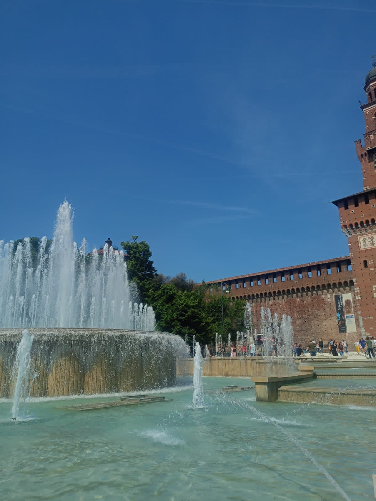 zdjęcie w galerii